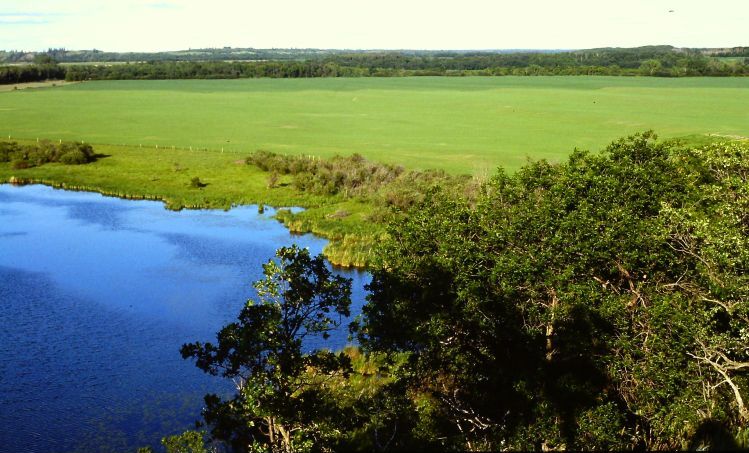 Assiniboine River