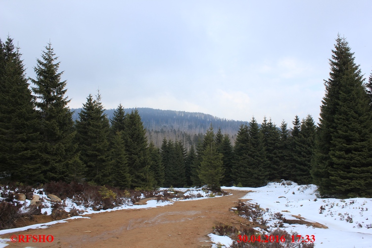 Rückweg vom Brocken