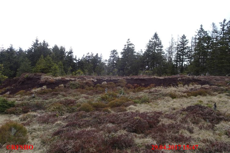 Rückweg vom Brocken