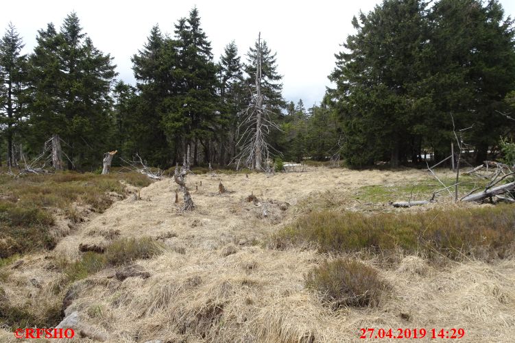 Rückweg vom Brocken