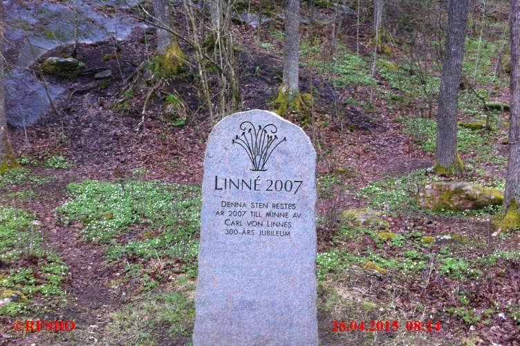 LinnéMarschen