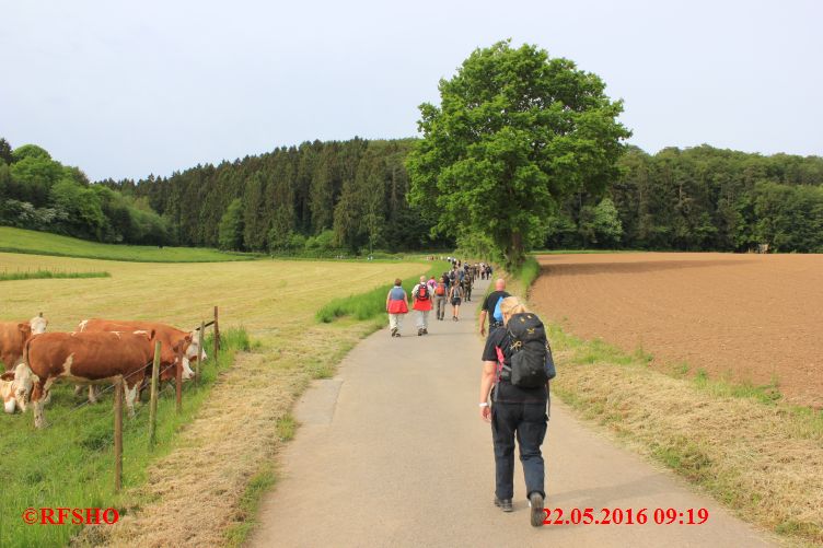 Marche Internationale de Diekirch