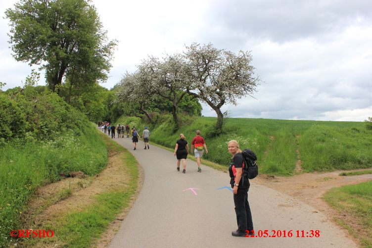 Marche Internationale de Diekirch