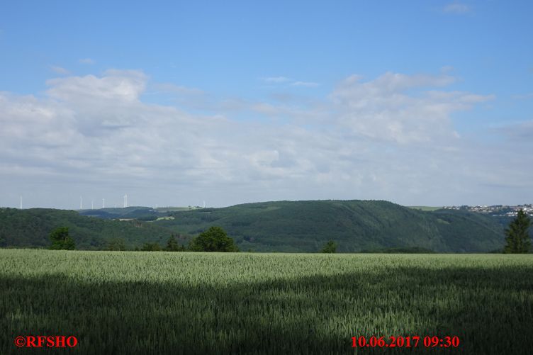 Marche Internationale de Diekirch