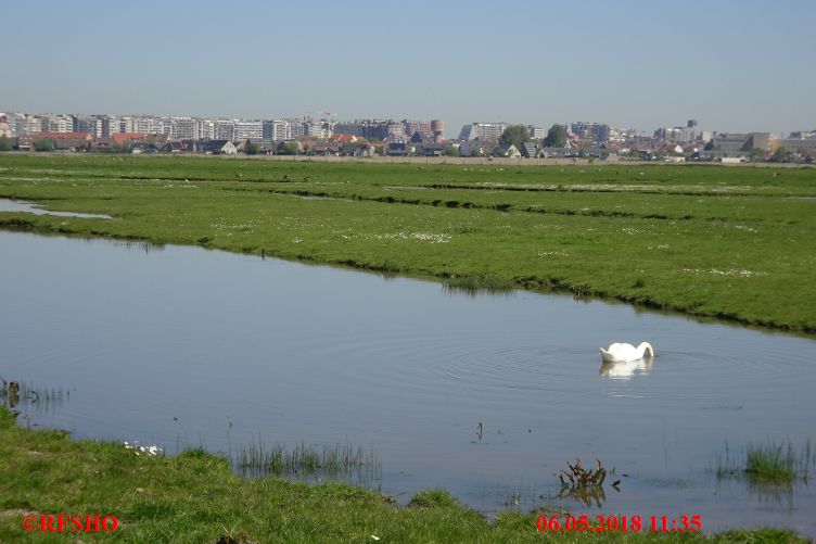 2-Daagse van Vlaanderen