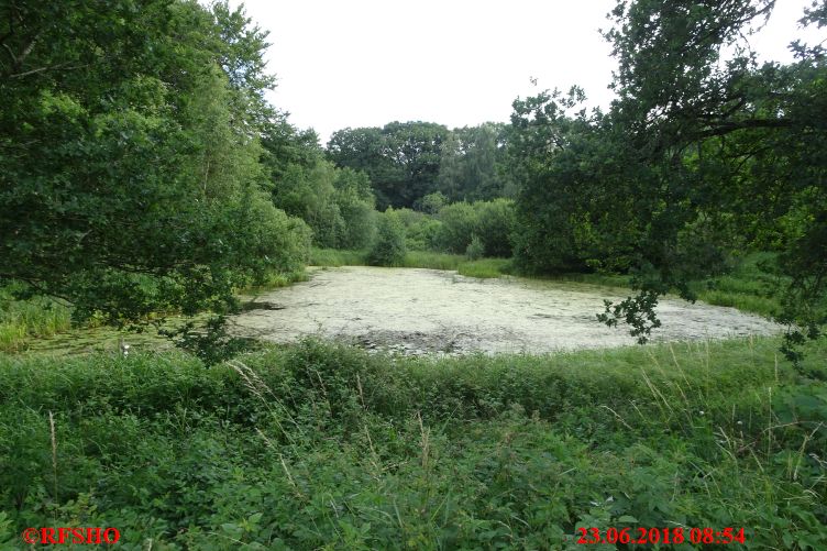 Haervejsmarchen