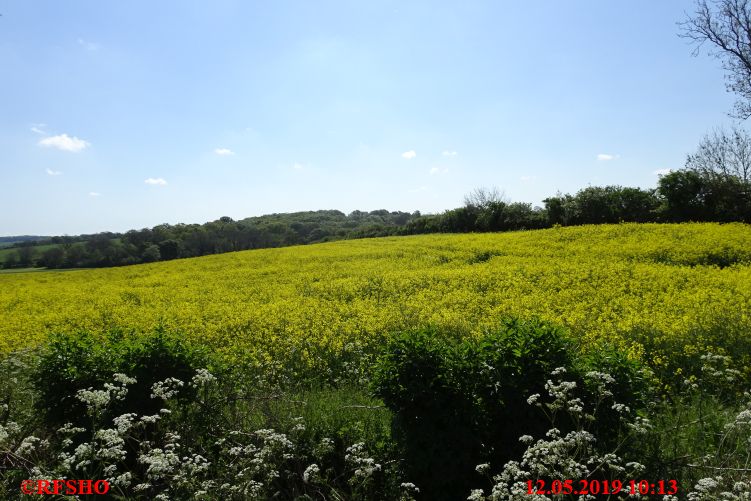 International Waendel walk