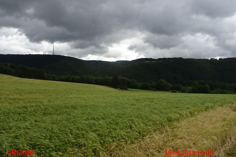 Marche Internationale de Diekirch