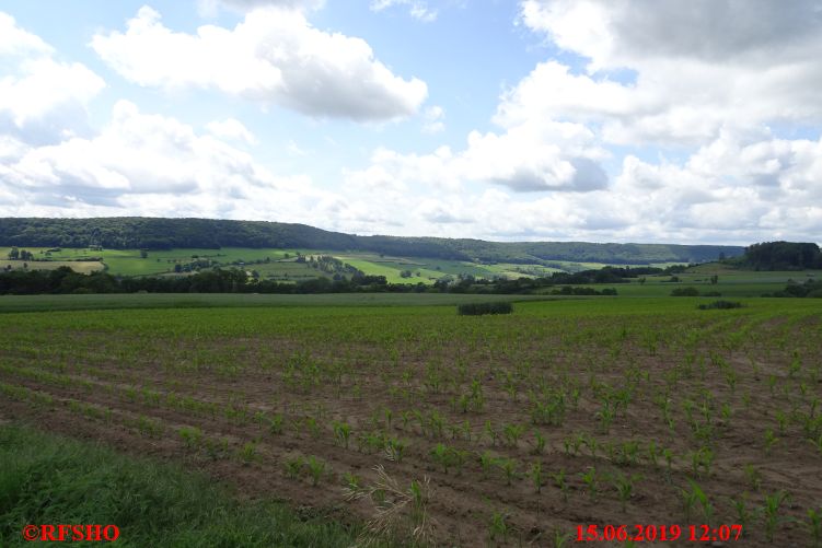 Marche Internationale de Diekirch