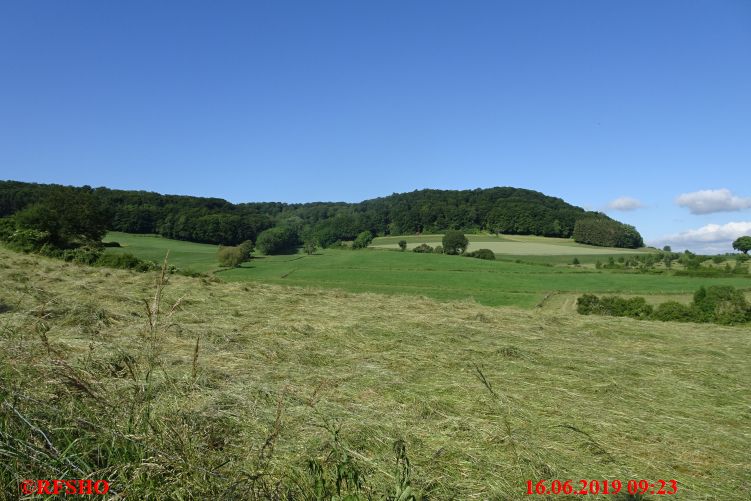 Marche Internationale de Diekirch