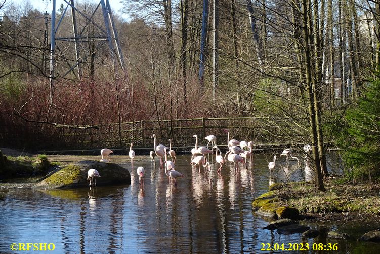 LinnéMarschen