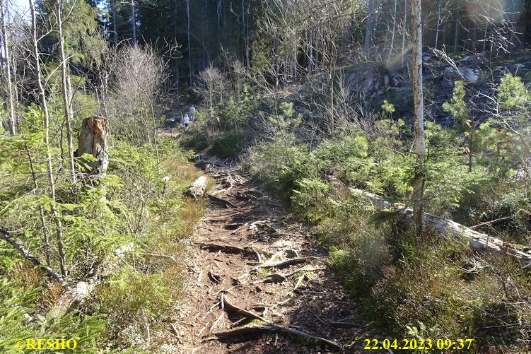 LinnéMarschen