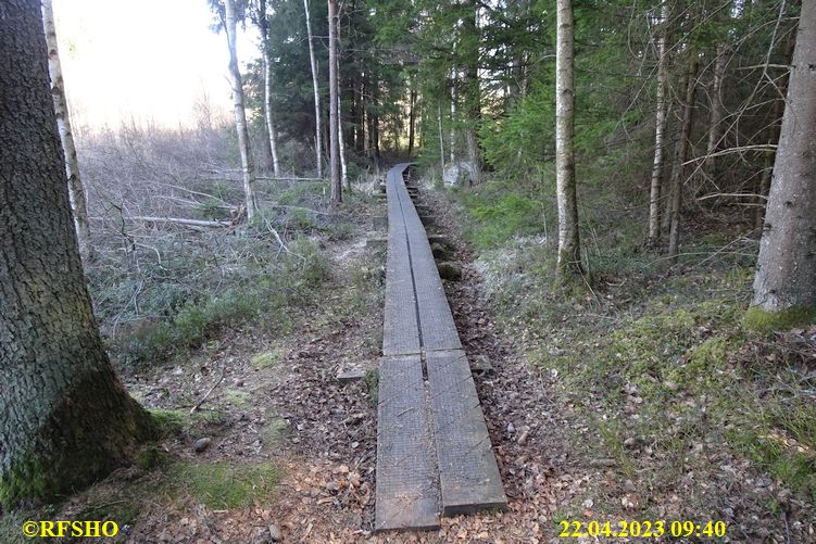 LinnéMarschen