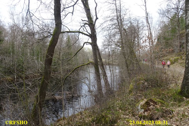 LinnéMarschen