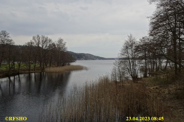 LinnéMarschen