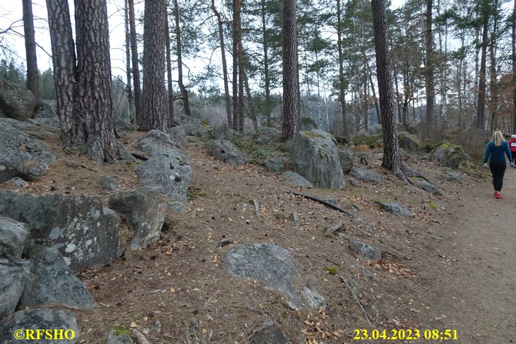 LinnéMarschen