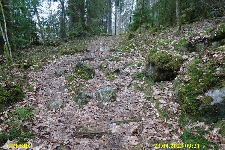 LinnéMarschen