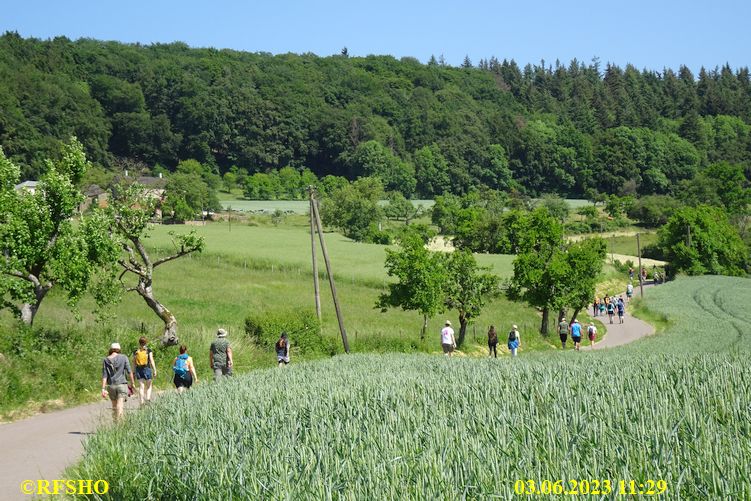 Marche Internationale de Diekirch