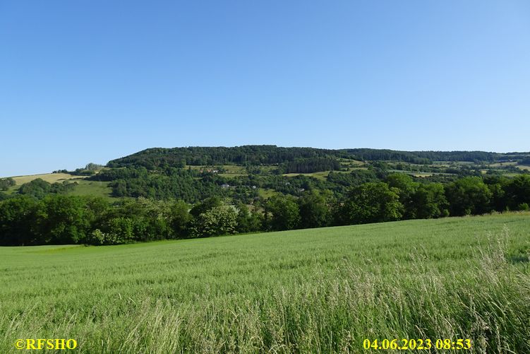 Marche Internationale de Diekirch