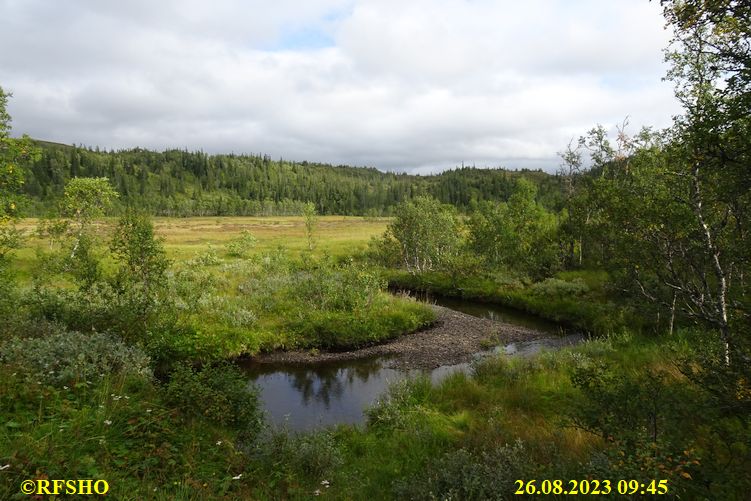 Sagamarsjen