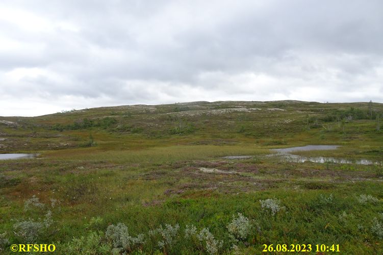 Sagamarsjen