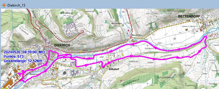 Marche Internationale de Diekirch