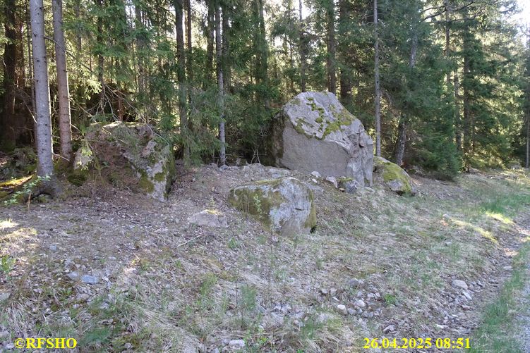 LinnéMarschen
