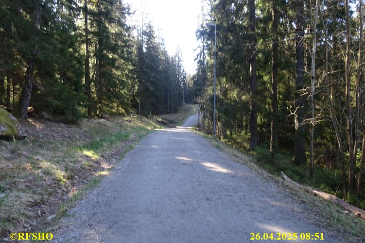 LinnéMarschen