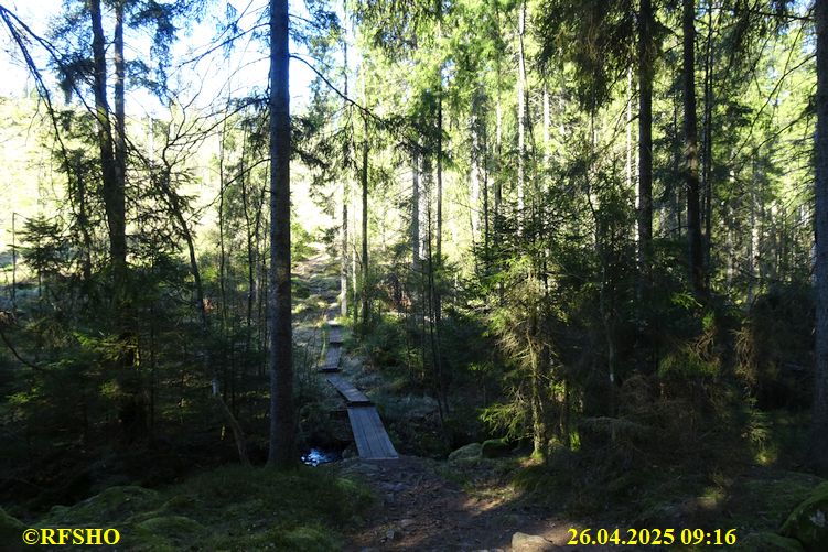 LinnéMarschen