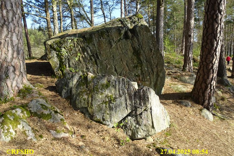 LinnéMarschen