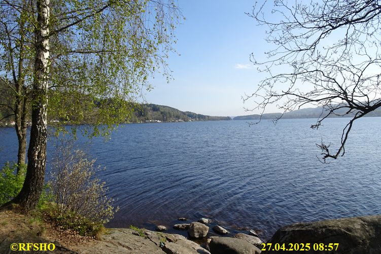 LinnéMarschen