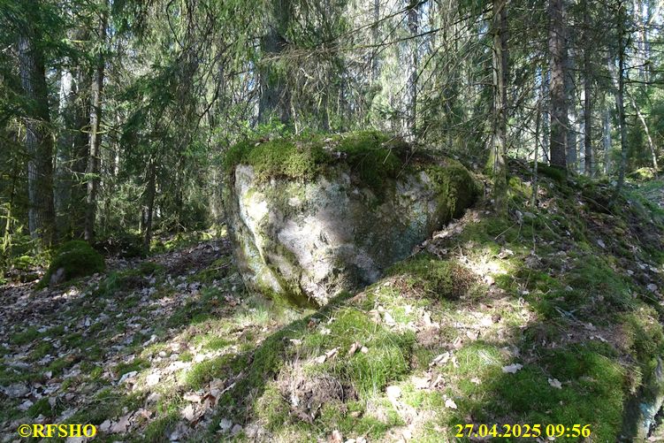 LinnéMarschen