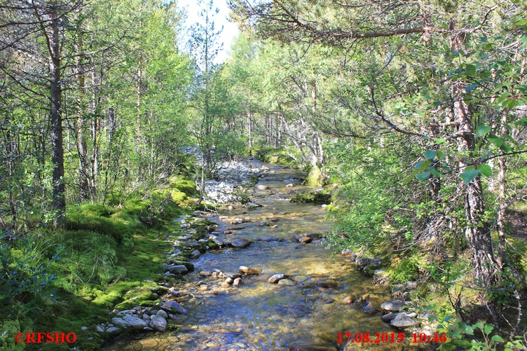 Wanderweg von Straumbu nach Bjørnhollia