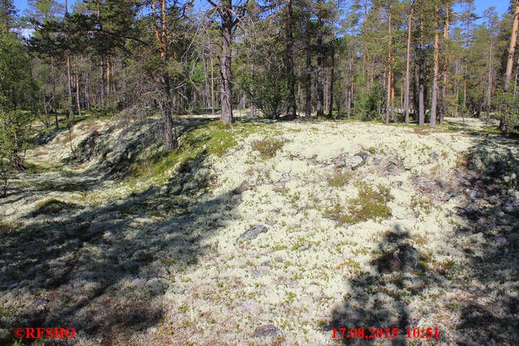 Wanderweg von Straumbu nach Bjørnhollia