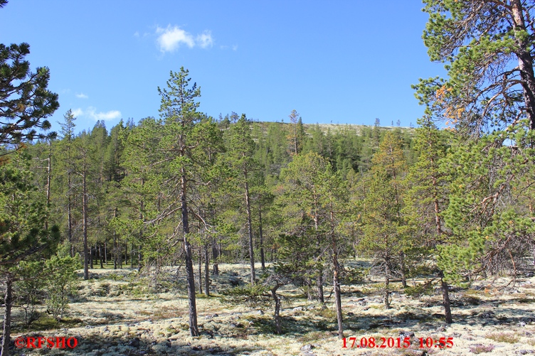 Wanderweg von Straumbu nach Bjørnhollia