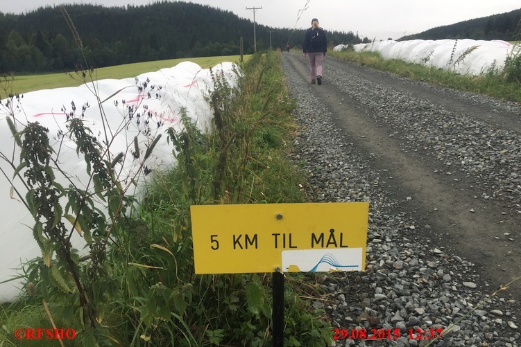 Sagamarsjen, 5 km zum Ziel