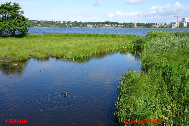 Hærvejsmarchen