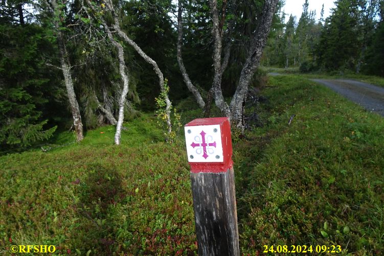Sagamarsjen