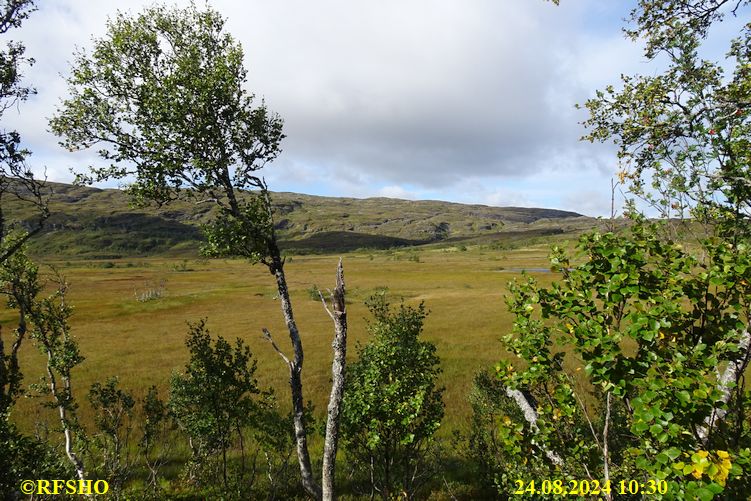 Sagamarsjen