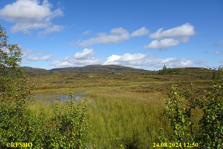 Sagamarsjen