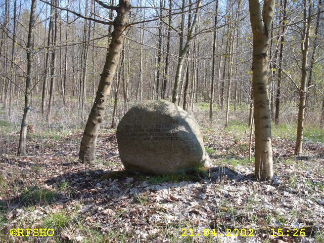 Försterstein im Espenleu