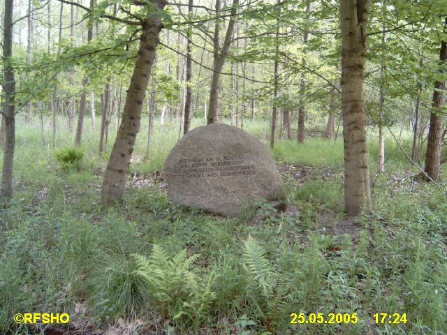 Försterstein im Espenleu