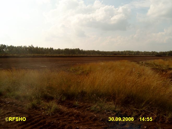 Moorlandschaft