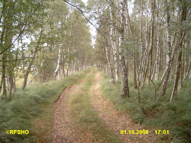 Moorlandschaft