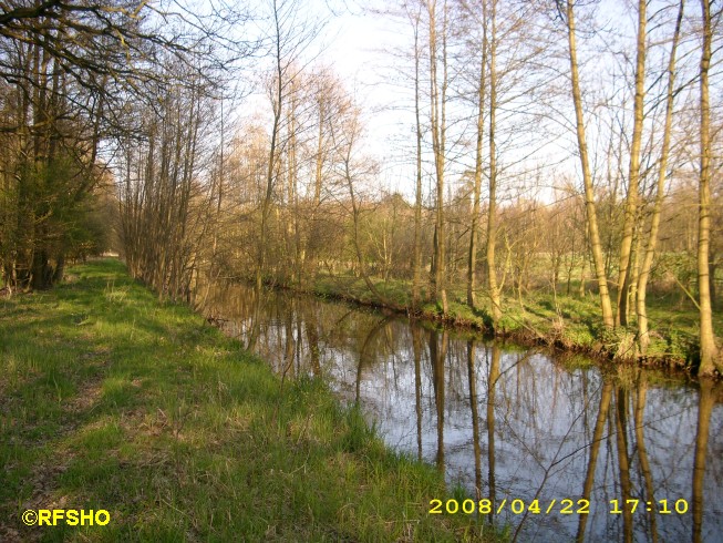 die Ise an der hohen Brücke  ri. norden