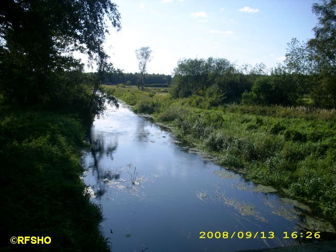 Ise von der Lübingshorster Brücke N 52.64661° O 10.62129°