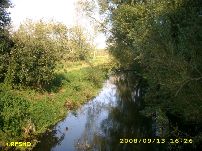 Ise von der Lübingshorster Brücke