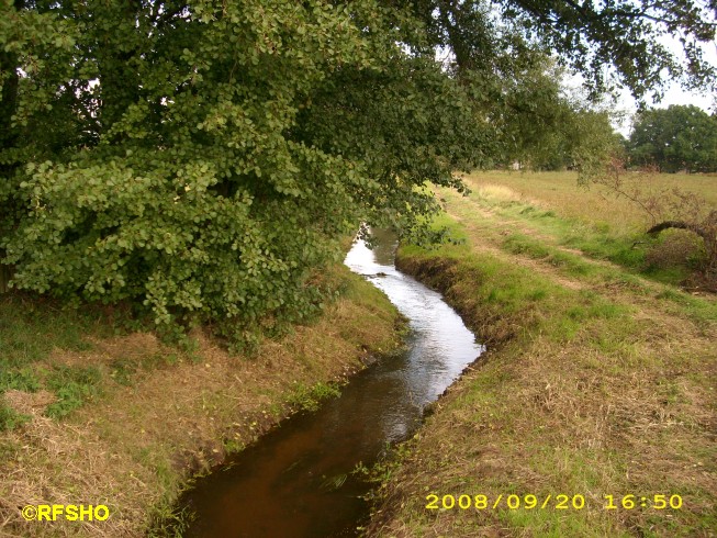 Die Riet am Glockenturm