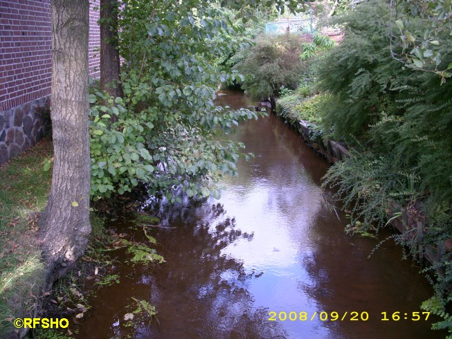 Die Riet am Feuerwehrhaus