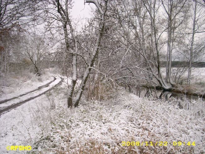 Ise an der Lübingshorster Brücke